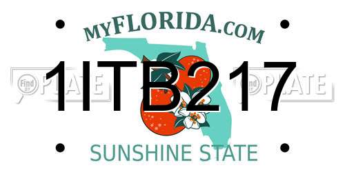 1ITB217 Florida License Plate