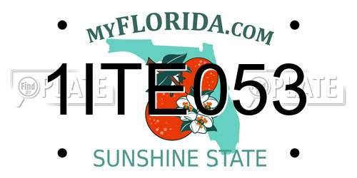 1ITE053 Florida License Plate