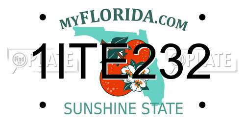 1ITE232 Florida License Plate