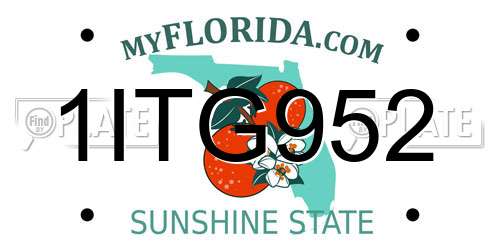 1ITG952 Florida License Plate