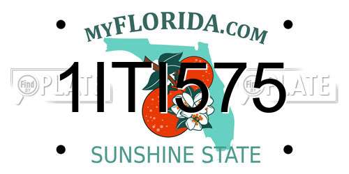 1ITI575 Florida License Plate