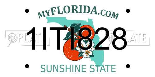 1ITI828 Florida License Plate