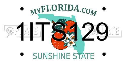 1ITS129 Florida License Plate