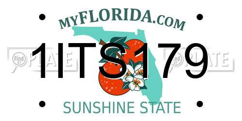 1ITS179 Florida License Plate