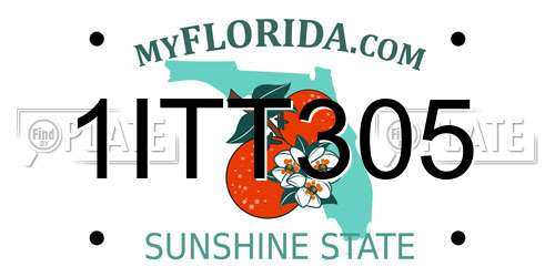1ITT305 Florida License Plate