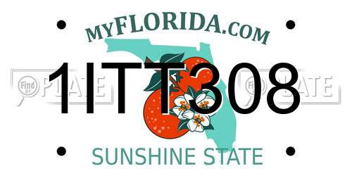 1ITT308 Florida License Plate