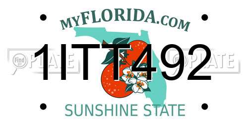 1ITT492 Florida License Plate