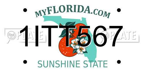 1ITT567 Florida License Plate