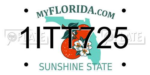 1ITT725 Florida License Plate