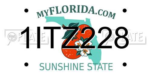 1ITZ228 Florida License Plate