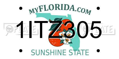 1ITZ305 Florida License Plate