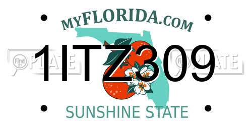 1ITZ309 Florida License Plate