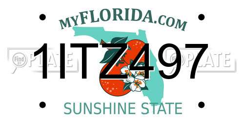 1ITZ497 Florida License Plate