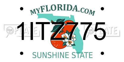 1ITZ775 Florida License Plate