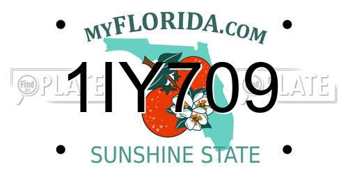 1IY709 Florida License Plate