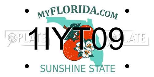 1IYT09 Florida License Plate
