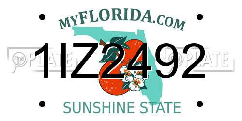 1IZ2492 Florida License Plate