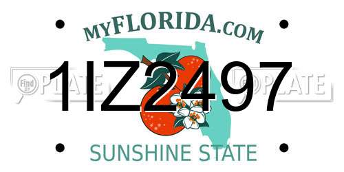 1IZ2497 Florida License Plate