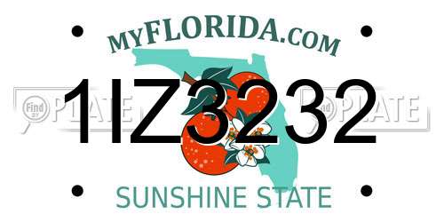 1IZ3232 Florida License Plate