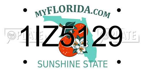 1IZ5129 Florida License Plate