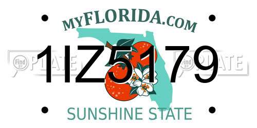 1IZ5179 Florida License Plate