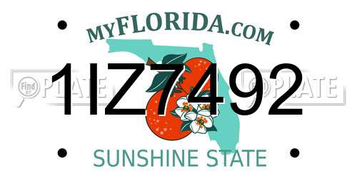 1IZ7492 Florida License Plate