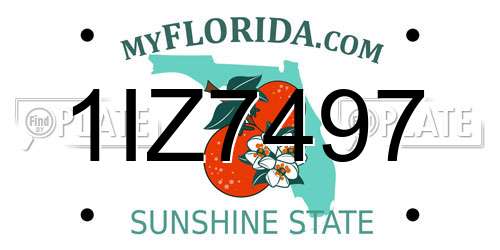 1IZ7497 Florida License Plate