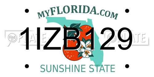 1IZB129 Florida License Plate