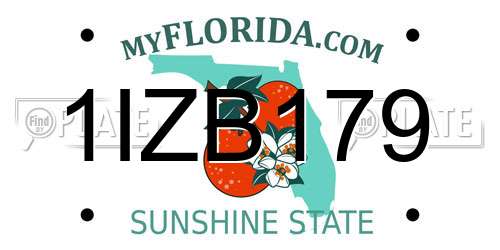 1IZB179 Florida License Plate