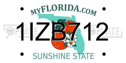 1IZB712 Florida License Plate