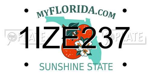 1IZE237 Florida License Plate