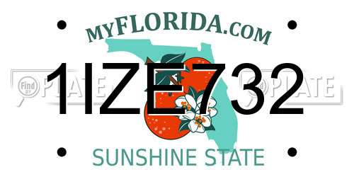 1IZE732 Florida License Plate