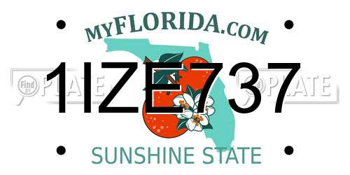 1IZE737 Florida License Plate