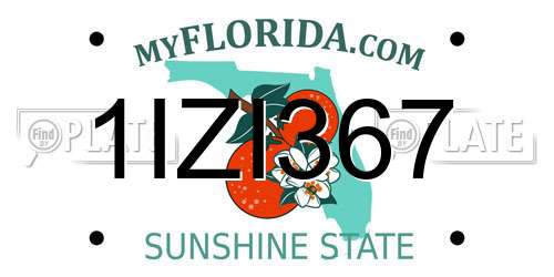 1IZI367 Florida License Plate