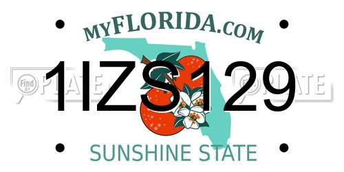 1IZS129 Florida License Plate