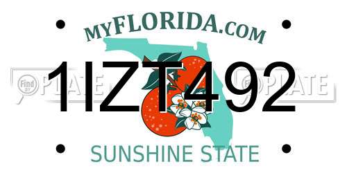 1IZT492 Florida License Plate
