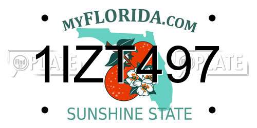 1IZT497 Florida License Plate
