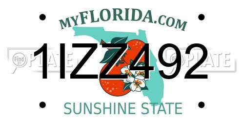 1IZZ492 Florida License Plate