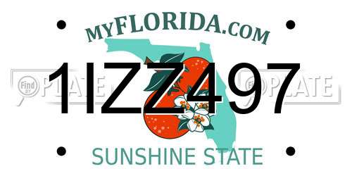 1IZZ497 Florida License Plate