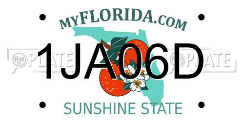 1JA06D Florida License Plate