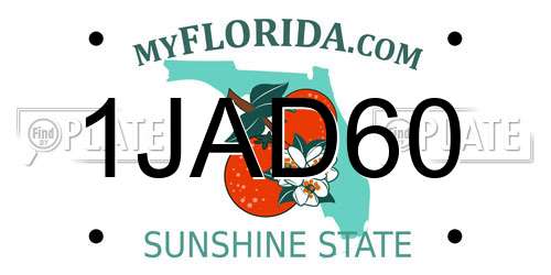 1JAD60 Florida License Plate