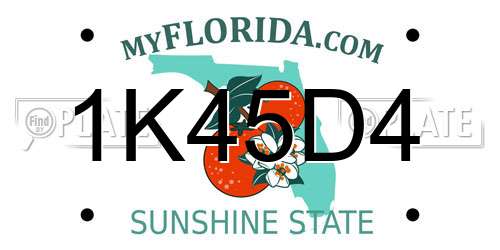 1K45D4 Florida License Plate