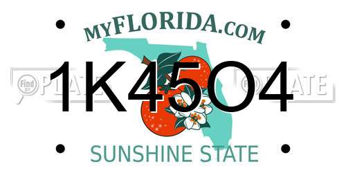 1K45O4 Florida License Plate