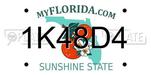 1K48D4 Florida License Plate