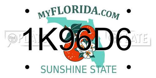 1K96D6 Florida License Plate