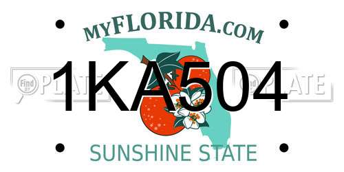 1KA504 Florida License Plate