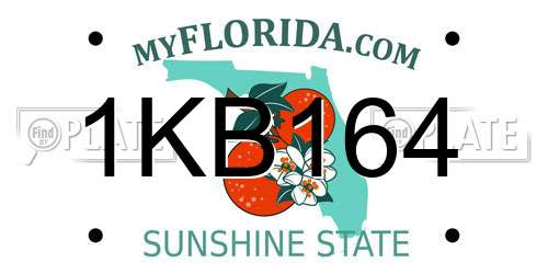 1KB164 Florida License Plate