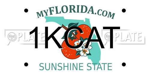 1KCAT Florida License Plate