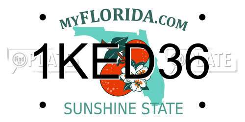 1KED36 Florida License Plate