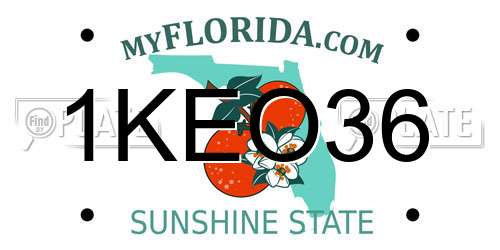 1KEO36 Florida License Plate